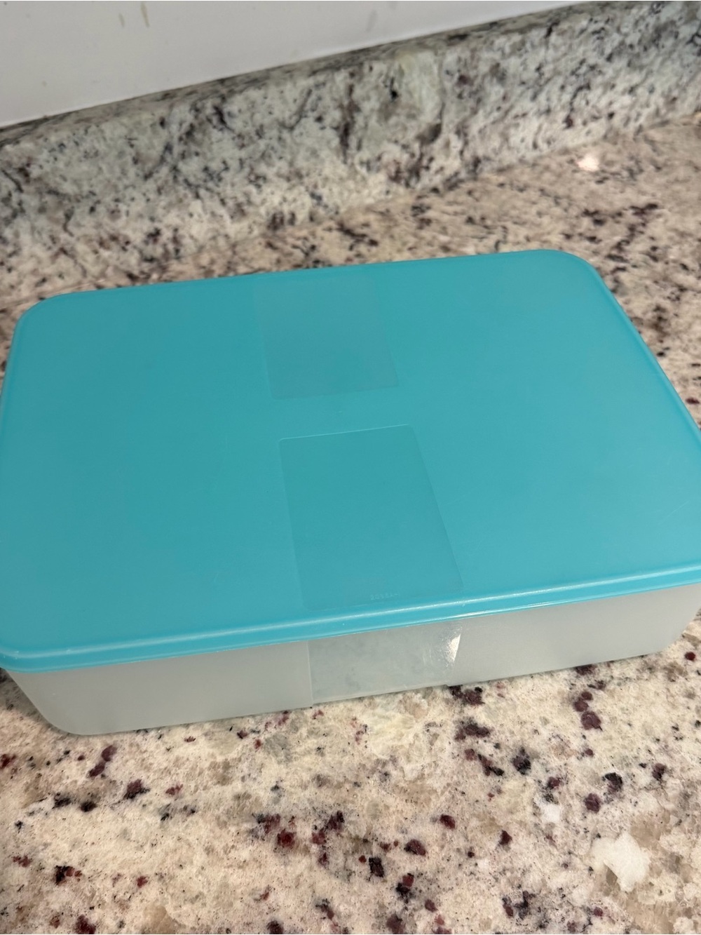 Vintage Tupperware Freezer Mates #2097 Sheer with Turquoise Lid